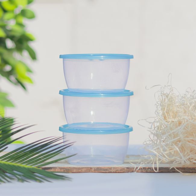 2 LITER ELEGANT LUNCH BOX SET
